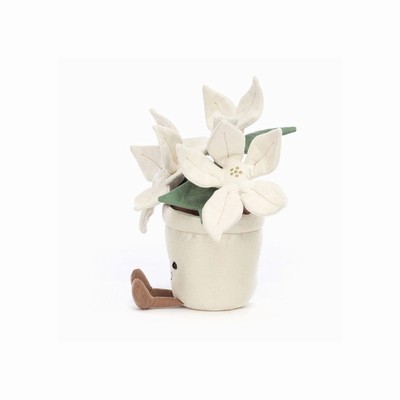 Jellycat Gold Poinsettia New Zealand | ATENU3256